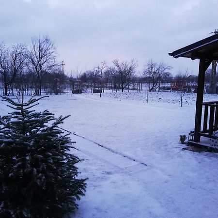 Casa De Vacanta Ayan Hărman Kamer foto