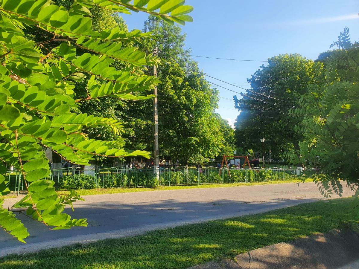 Casa De Vacanta Ayan Hărman Buitenkant foto