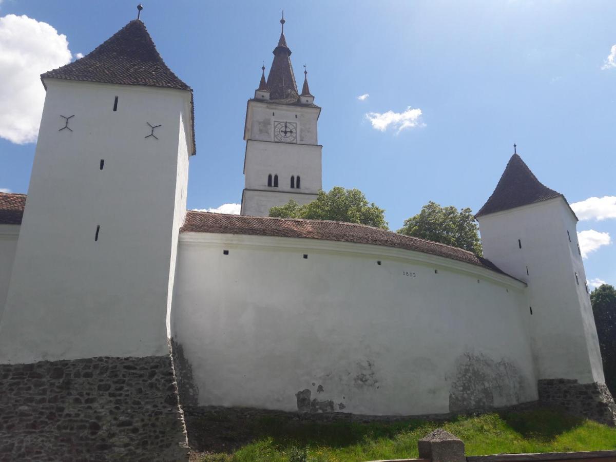 Casa De Vacanta Ayan Hărman Buitenkant foto