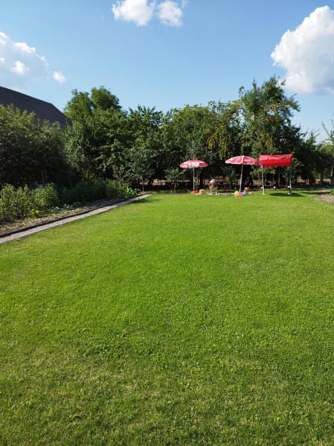 Casa De Vacanta Ayan Hărman Buitenkant foto