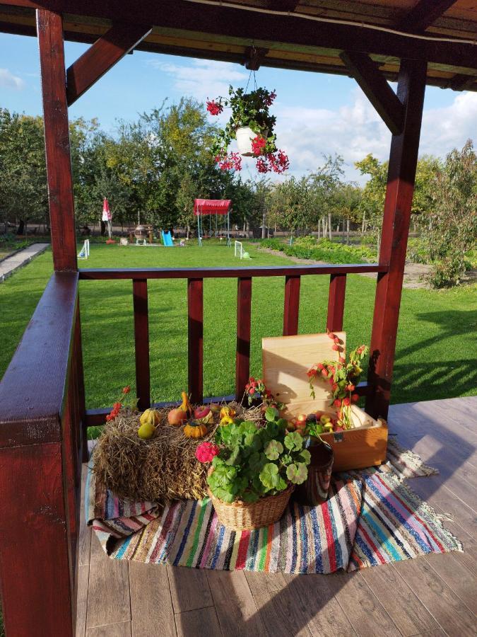 Casa De Vacanta Ayan Hărman Buitenkant foto