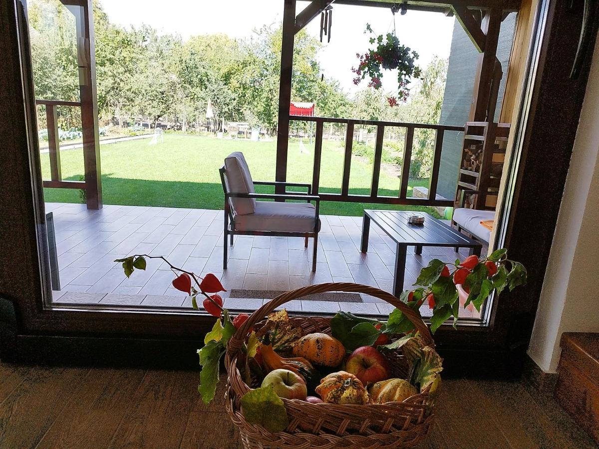 Casa De Vacanta Ayan Hărman Buitenkant foto