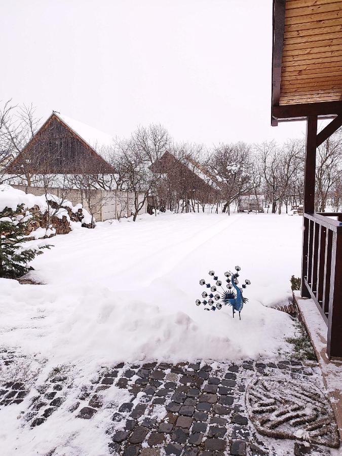 Casa De Vacanta Ayan Hărman Buitenkant foto