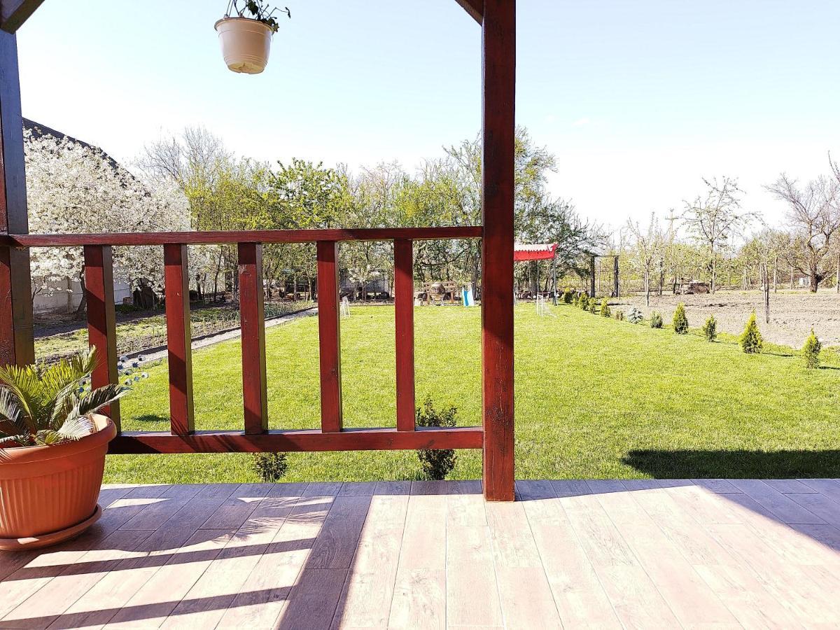 Casa De Vacanta Ayan Hărman Buitenkant foto